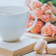 start your dream online business